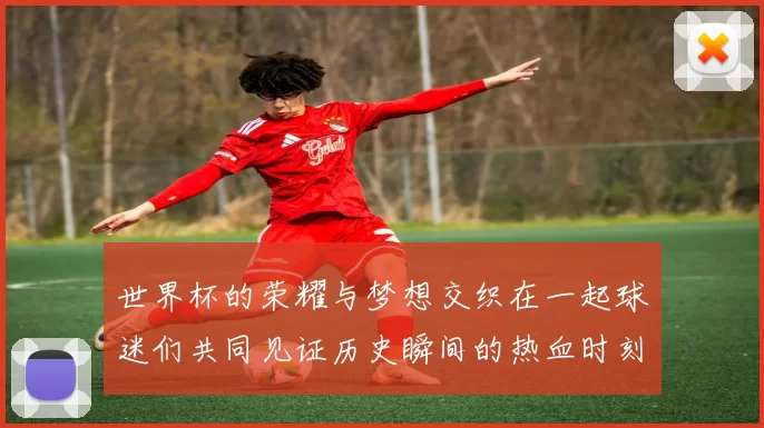 世界杯的荣耀与梦想交织在一起球迷们共同见证历史瞬间的热血时刻