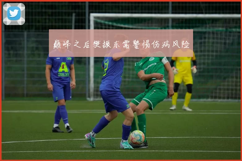 巅峰之后樊振东需警惕伤病风险
