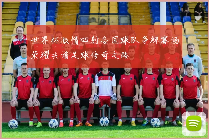 世界杯激情四射各国球队争辉赛场荣耀共谱足球传奇之路