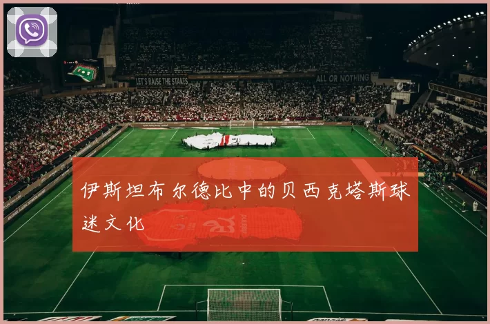 伊斯坦布尔德比中的贝西克塔斯球迷文化