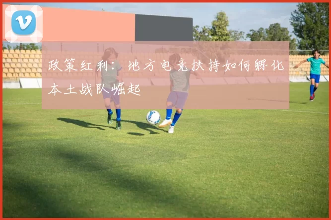 政策红利：地方电竞扶持如何孵化本土战队崛起